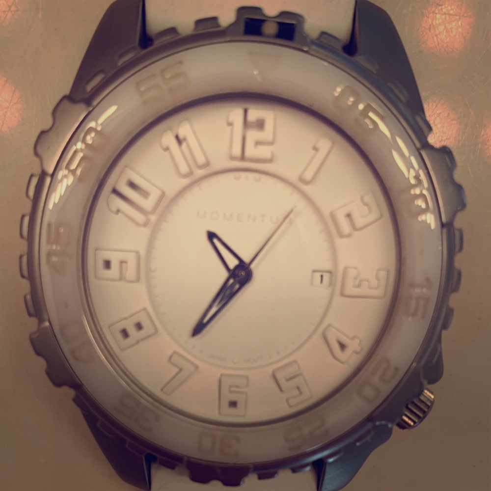 Momentum Polar Bear Diving watch